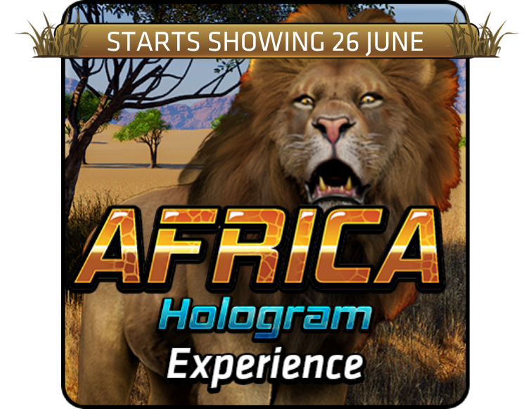 Africa Adventures